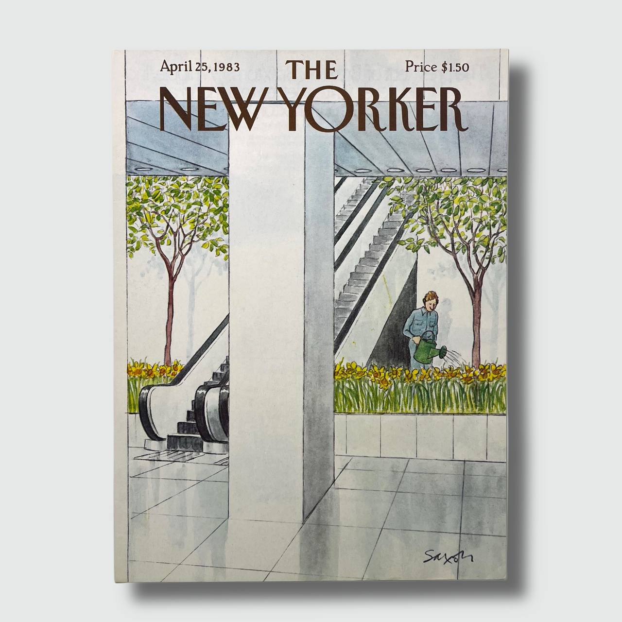 The New Yorker