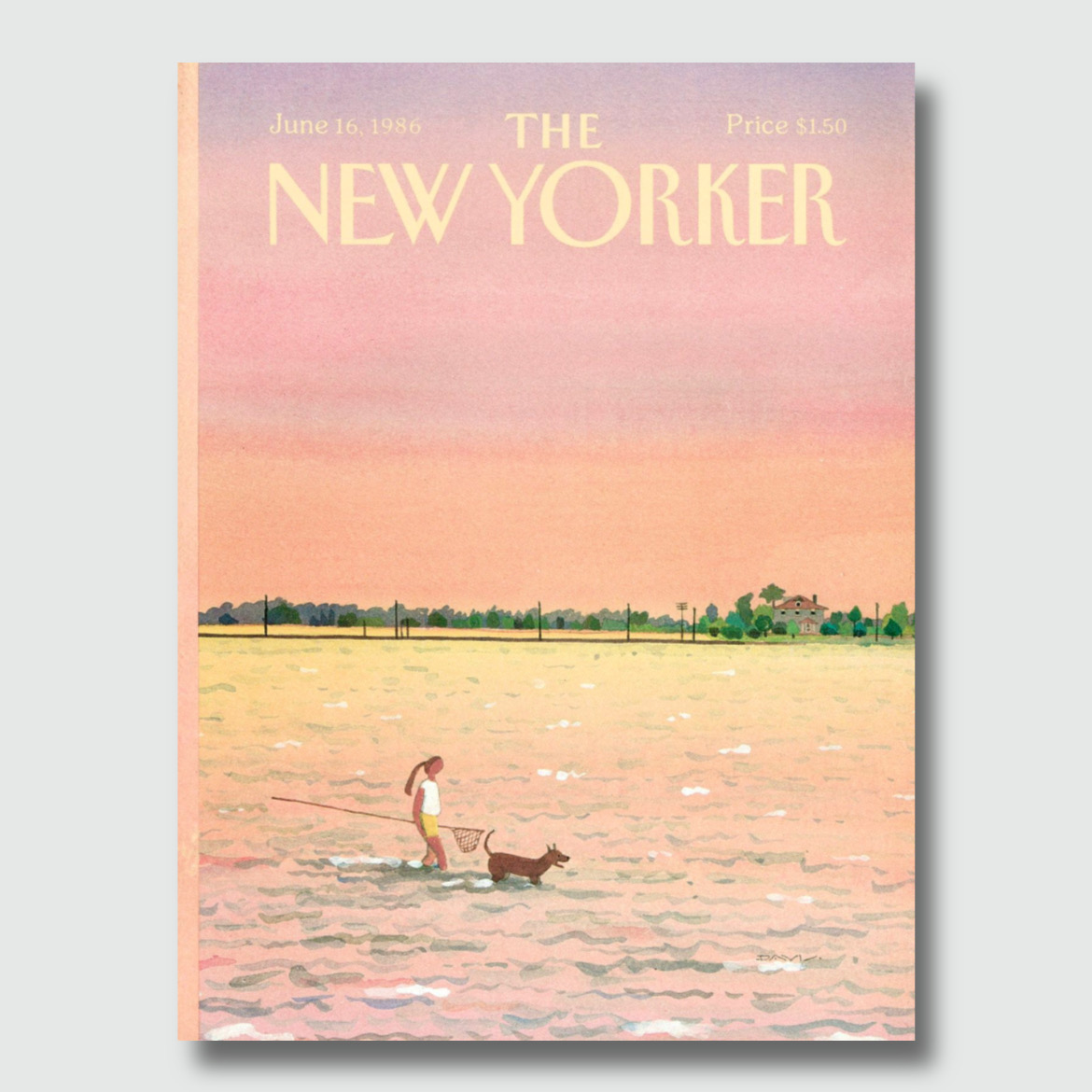 The New Yorker