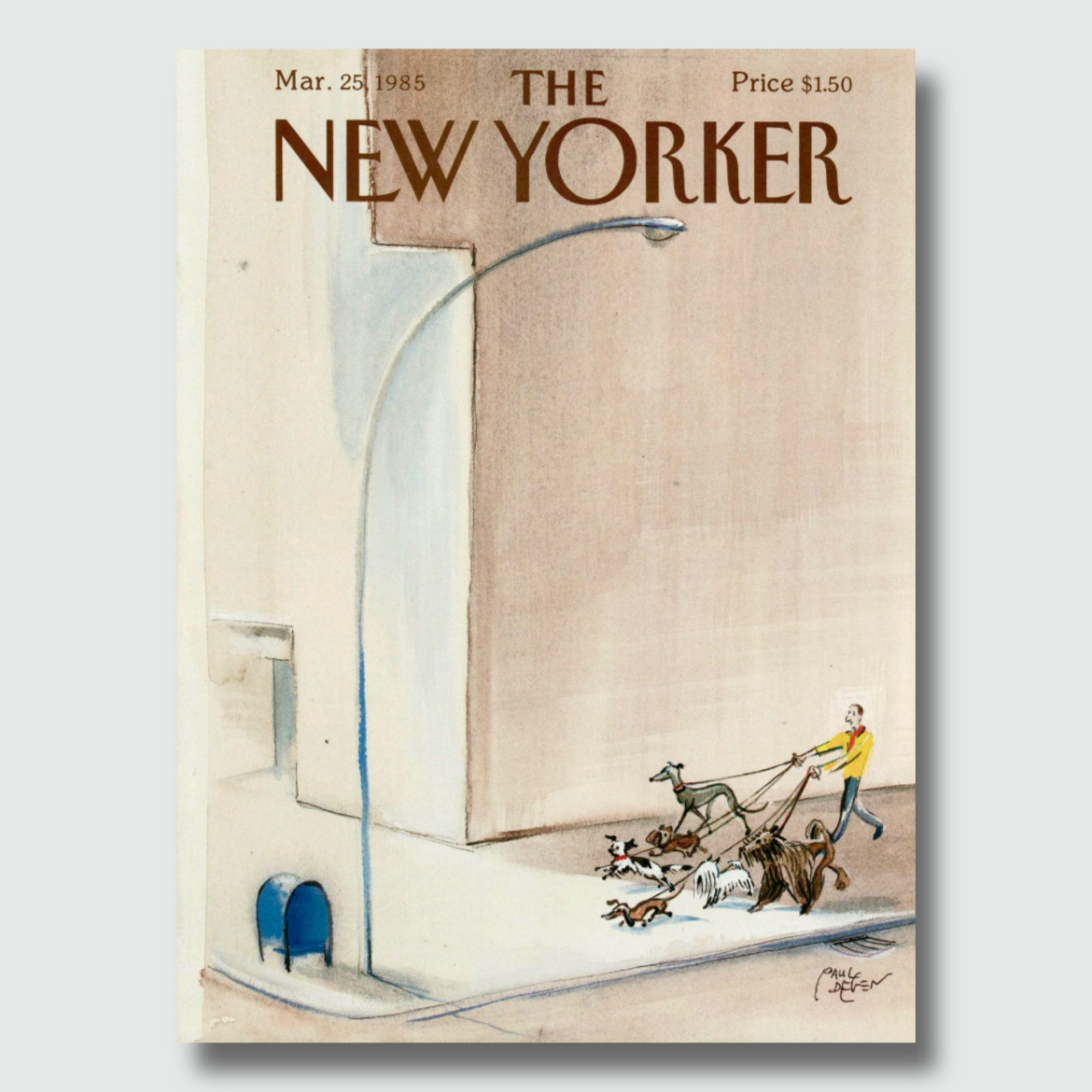 The New Yorker
