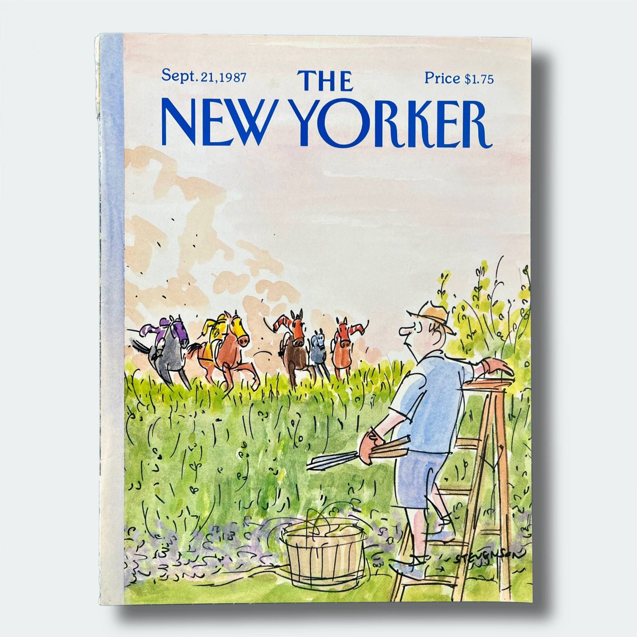 The New Yorker