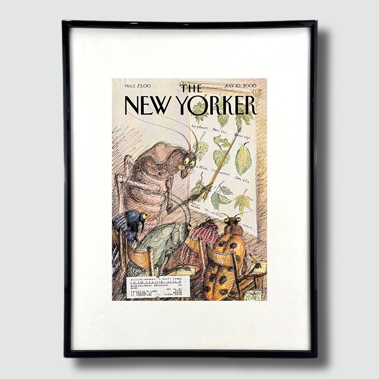 The New Yorker